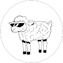 Sillysheep
